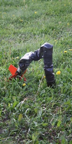 2012 Svojek mirek patek